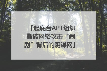 起底台APT组织 撕破网络攻击“闹剧”背后的阴谋网