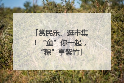 赏民乐、逛市集！“童”你一起，“粽”享紫竹