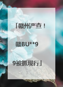 赣州严查！赣BU**99被抓现行