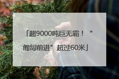 超9000吨巨无霸！“匍匐前进”超过60米