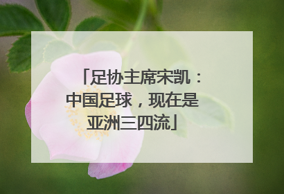 足协主席宋凯：中国足球，现在是亚洲三四流