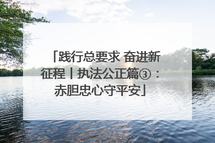 践行总要求 奋进新征程丨执法公正篇③：赤胆忠心守平安