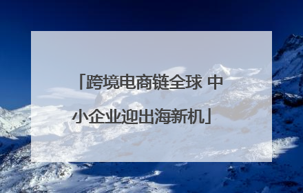 跨境电商链全球 中小企业迎出海新机