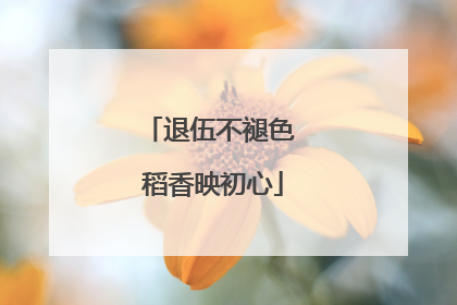 退伍不褪色 稻香映初心