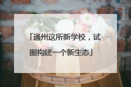 通州这所新学校，试图构建一个新生态