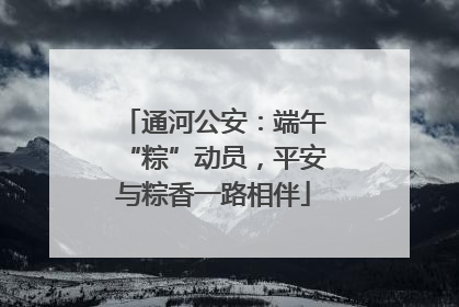 通河公安：端午“粽”动员，平安与粽香一路相伴