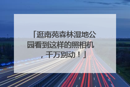 逛南苑森林湿地公园看到这样的照相机，千万别动！
