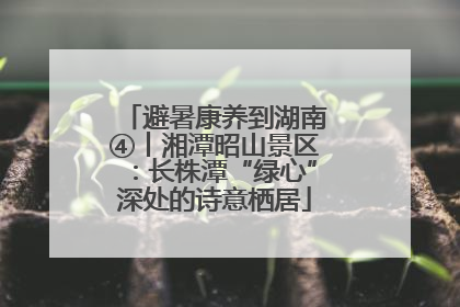 避暑康养到湖南④丨湘潭昭山景区：长株潭“绿心”深处的诗意栖居