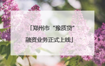 郑州市“豫质贷”融资业务正式上线