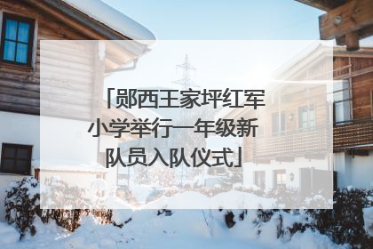 郧西王家坪红军小学举行一年级新队员入队仪式
