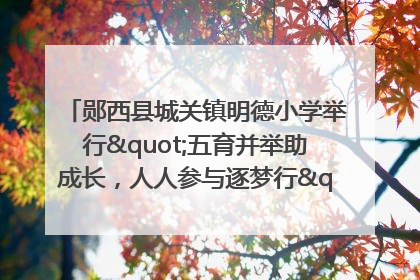郧西县城关镇明德小学举行"五育并举助成长，人人参与逐梦行"庆六一活动