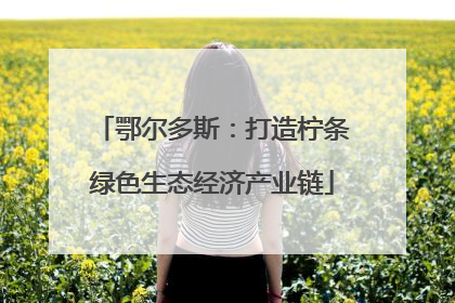 鄂尔多斯：打造柠条绿色生态经济产业链