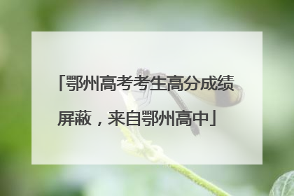 鄂州高考考生高分成绩屏蔽，来自鄂州高中