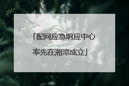 配网应急响应中心率先在湘潭成立