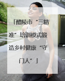 醴陵市“三精准”培训模式锻造乡村健康“守门人”