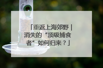 重返上海郊野｜消失的“顶级捕食者”如何归来？
