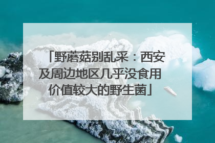 野蘑菇别乱采：西安及周边地区几乎没食用价值较大的野生菌