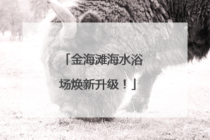 金海滩海水浴场焕新升级！