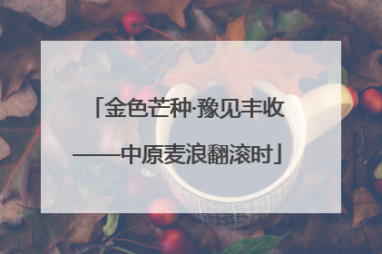 金色芒种·豫见丰收——中原麦浪翻滚时
