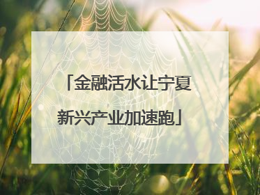 金融活水让宁夏新兴产业加速跑