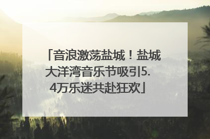 音浪激荡盐城！盐城大洋湾音乐节吸引5.4万乐迷共赴狂欢