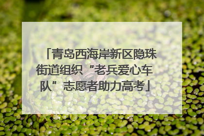 青岛西海岸新区隐珠街道组织“老兵爱心车队”志愿者助力高考
