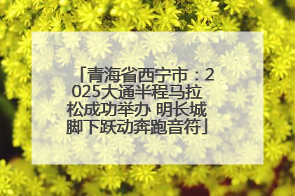 青海省西宁市：2025大通半程马拉松成功举办 明长城脚下跃动奔跑音符