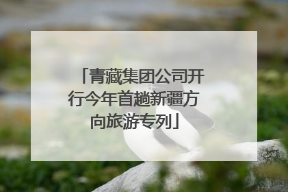 青藏集团公司开行今年首趟新疆方向旅游专列