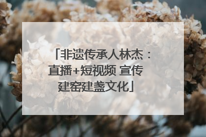 非遗传承人林杰：直播+短视频 宣传建窑建盏文化