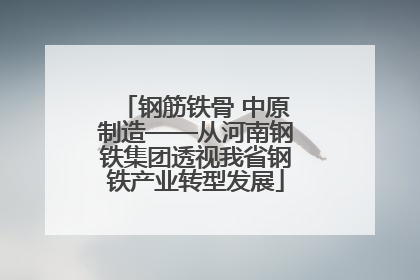 钢筋铁骨 中原制造——从河南钢铁集团透视我省钢铁产业转型发展