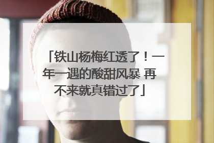 铁山杨梅红透了！一年一遇的酸甜风暴 再不来就真错过了