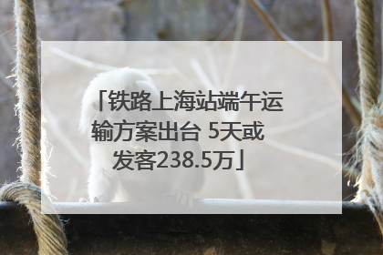铁路上海站端午运输方案出台 5天或发客238.5万