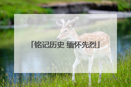 铭记历史 缅怀先烈