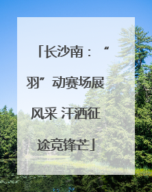 长沙南：“羽”动赛场展风采 汗洒征途竞锋芒