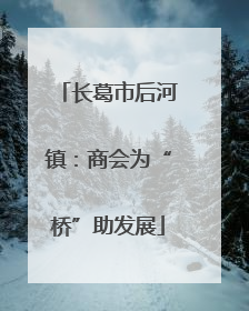 长葛市后河镇：商会为“桥”助发展