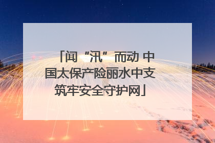 闻“汛”而动 中国太保产险丽水中支筑牢安全守护网