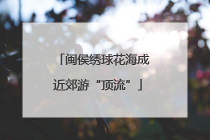 闽侯绣球花海成近郊游“顶流”