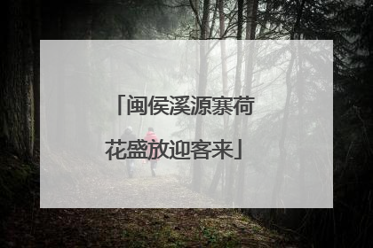 闽侯溪源寨荷花盛放迎客来