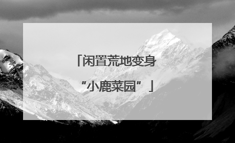 闲置荒地变身“小鹿菜园”