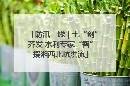 防汛一线｜七“剑”齐发 水利专家“智”援湘西北抗洪流