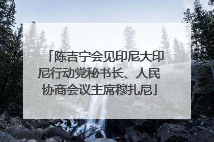 陈吉宁会见印尼大印尼行动党秘书长、人民协商会议主席穆扎尼