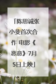 陈思诚张小斐首次合作 电影《恶意》7月5日上映