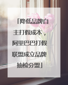 降低品牌自主打假成本，阿里巴巴打假联盟成立品牌抽检分盟