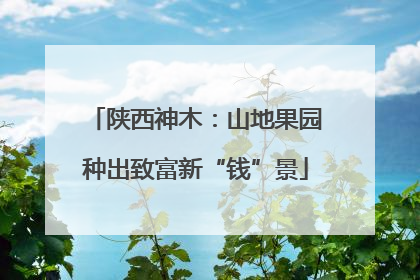 陕西神木：山地果园种出致富新“钱”景