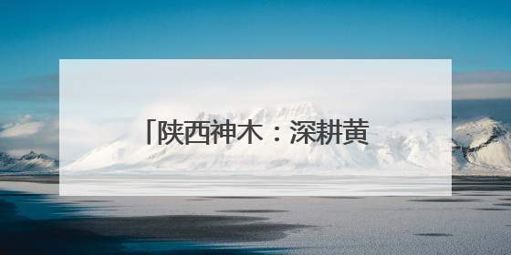 陕西神木：深耕黄河流域生态治理 绘就绿色发展新画卷
