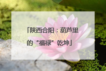陕西合阳：葫芦里的“福禄”乾坤