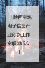 陕西宝鸡电子信息产业创新工作室联盟成立