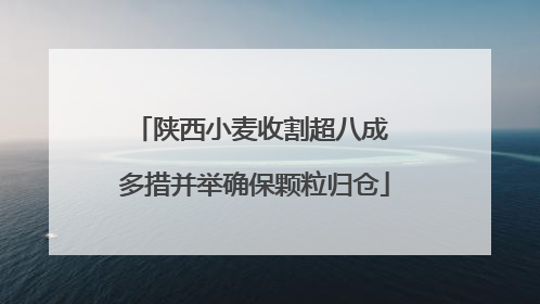 陕西小麦收割超八成 多措并举确保颗粒归仓