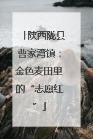 陕西陇县曹家湾镇：金色麦田里的“志愿红”