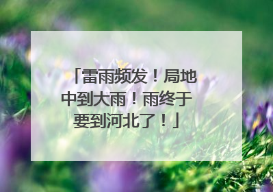 雷雨频发！局地中到大雨！雨终于要到河北了！